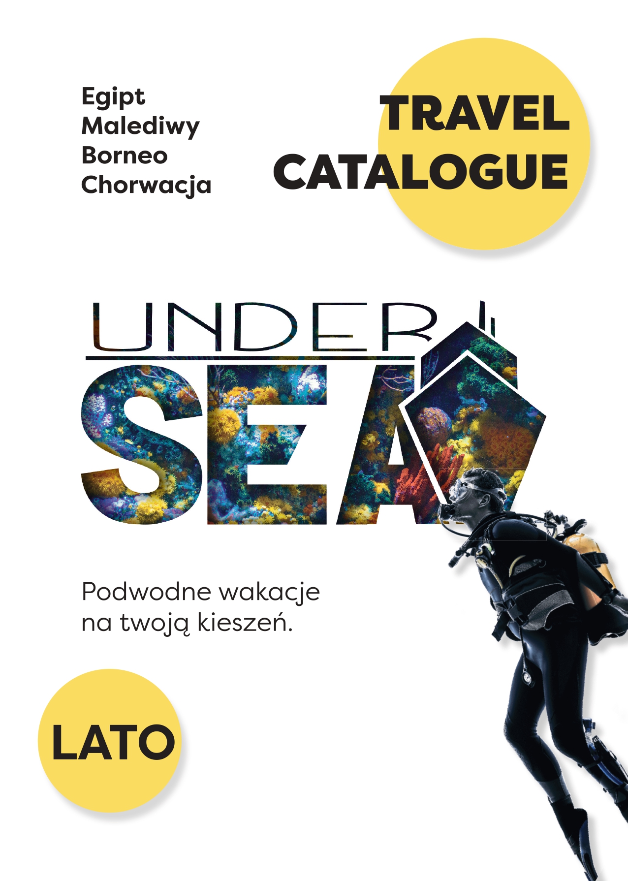 katalog
